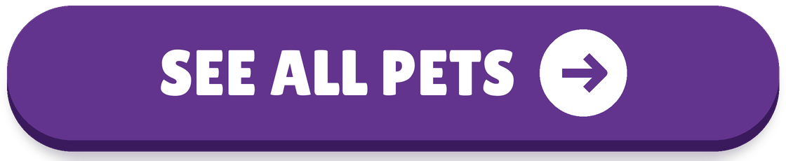See all pets